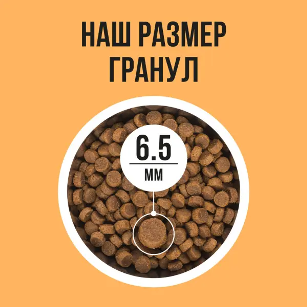 Bowl wow корм сухой для взрослых кошек с чувствительным пищеварением: индейка, курица, тыква