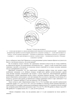 Стрельба на охоте дробью | Б. Н. Скворцов