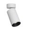 Спот Citilux Axel CL512210