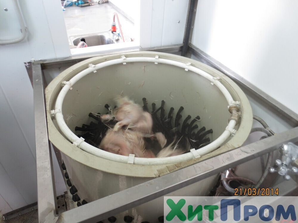 Линия убоя бройлера и несушки до 120 голов/час с вакуумным потрошением. Краснодарский край