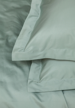 Наволочка 50х70 Luxberry Daily Bedding полынь фото