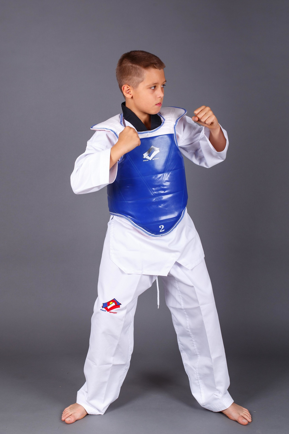 Протектор (жилет)защитный для тхэквондо двухсторонний ProfSport