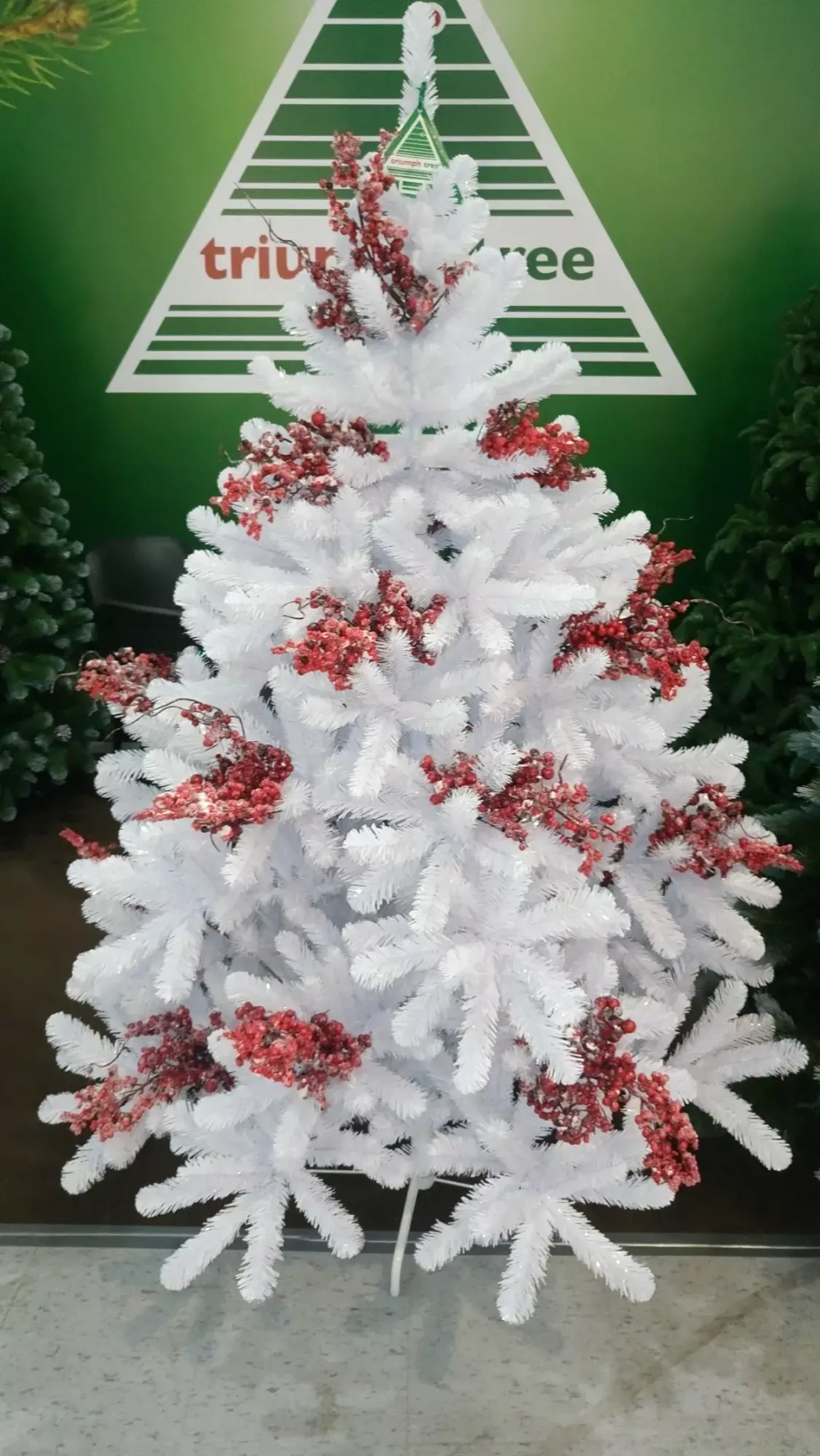 Елка Исландская белоснежная 365 см., интерьерная, мягкая хвоя, Triumph Tree (73095)