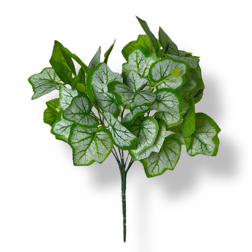 Гейхера куст GF