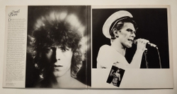 Винтажная виниловая пластинка LP David Bowie Collection Blanche 2LP (France 1979)