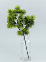 Ветка Бонсай