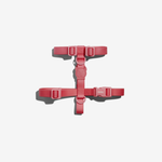 Шлейка NEOPRO BUBBLEGUM Zee.Dog