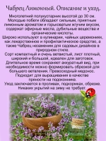 Чабрец Лимонный