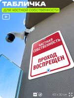 Табличка для частной территории "Частная собственность, проход воспрещен", на дом, для участка, организаций, предупреждающая, 40х30 см, Silver Plane x Айдентика Технолоджи