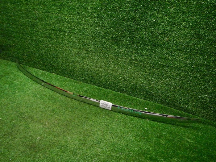 DSCN9785.JPG