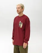 Лонгслив Anteater Long093 Handspray бордовый