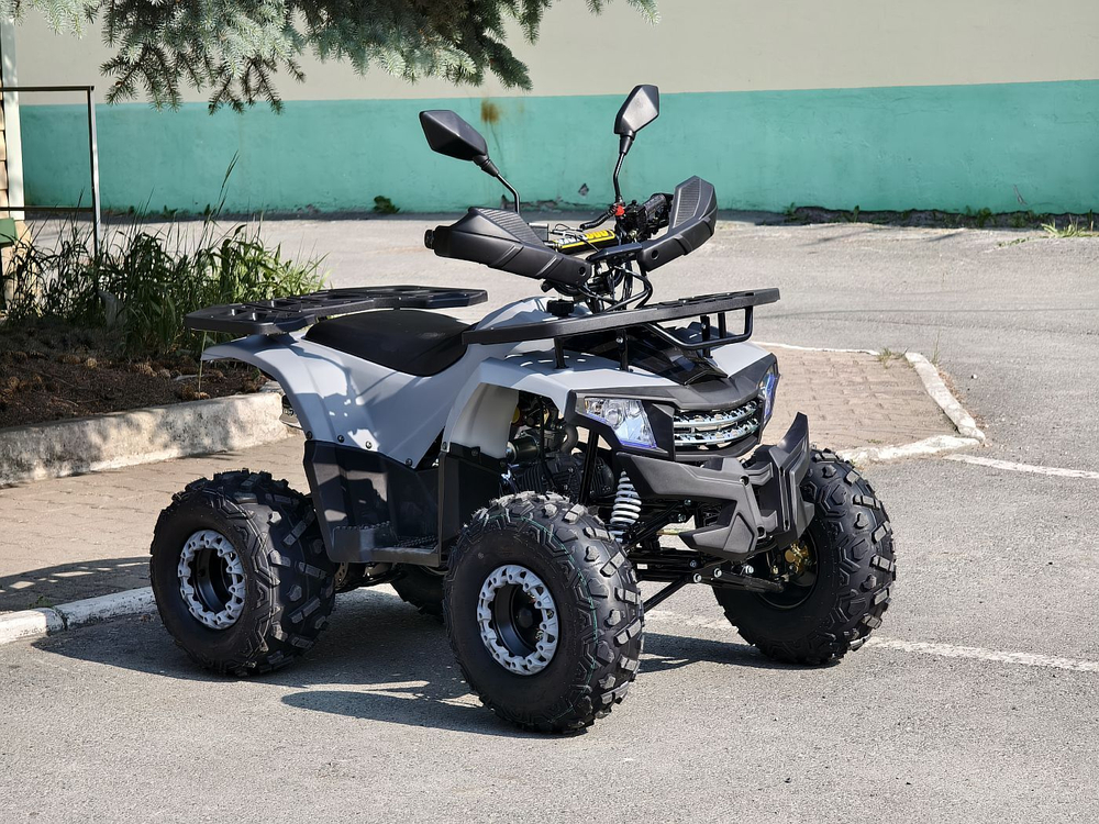 Lion 125 AA серый