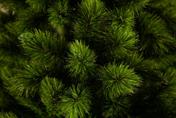 Ель де Люкс  230см зеленая Triumph Tree