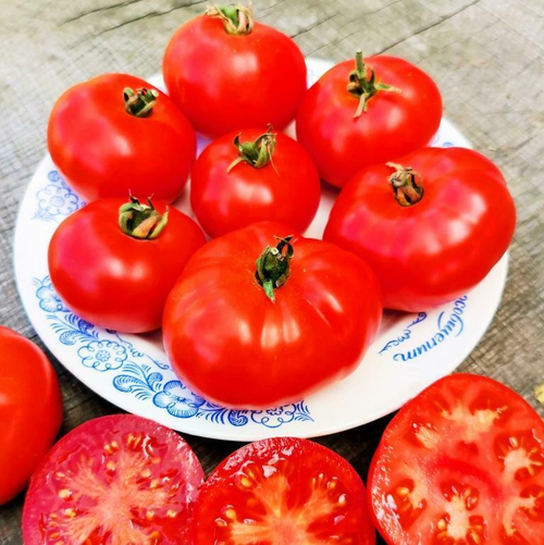 Помидоры Пламя Арарата - Ararat Flame