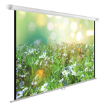 Экран  Cactus CS-PSWE-200X200-WT