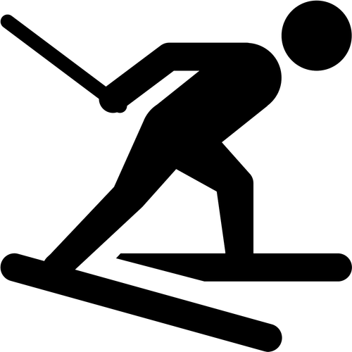 Лыжероллеры.png