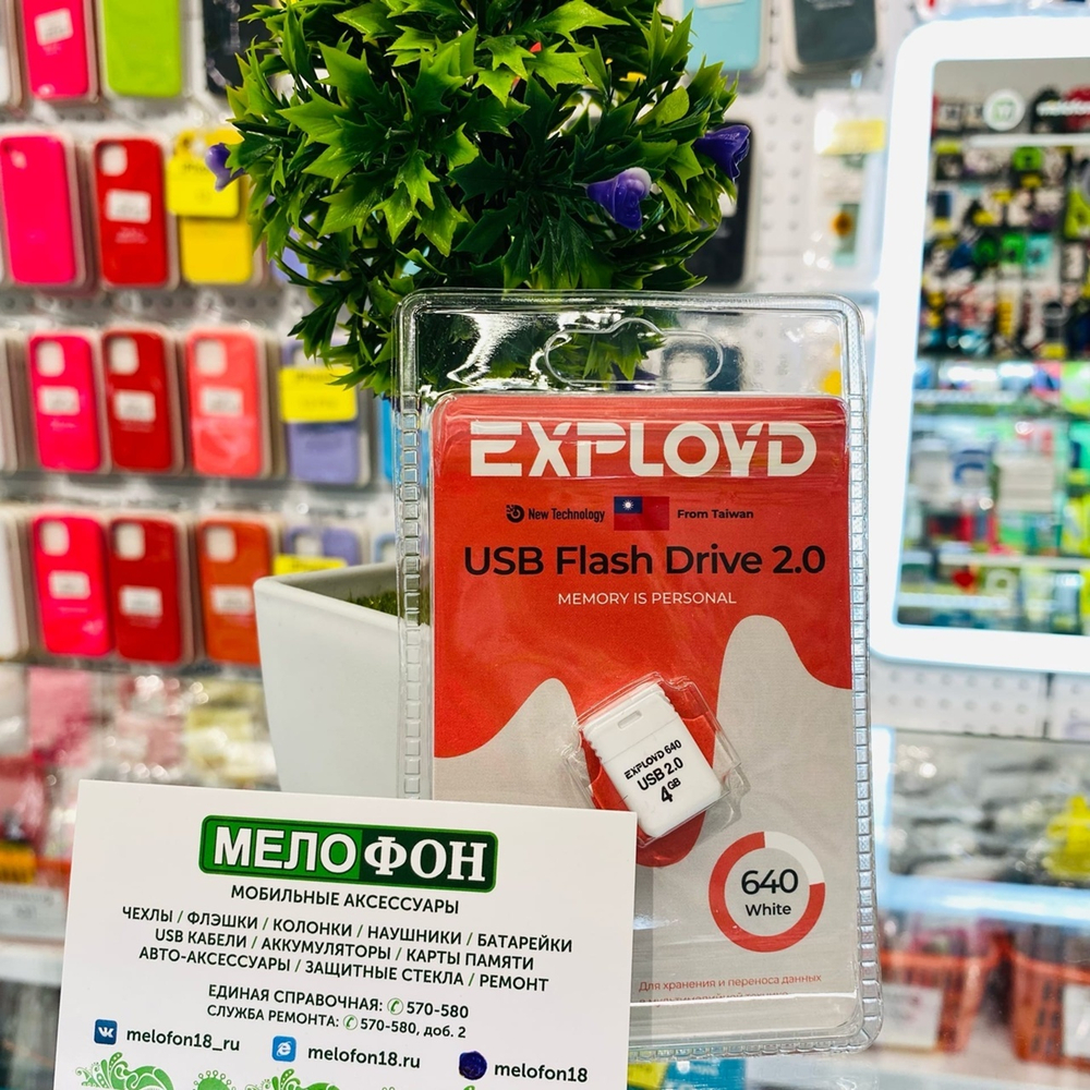 USB Флешка 4GB Exployd 640 Mini, USB 2.0, белая