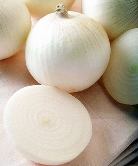 Сьерра Бланка F1 семена лука репчатого (Seminis / Семинис) – фото 2