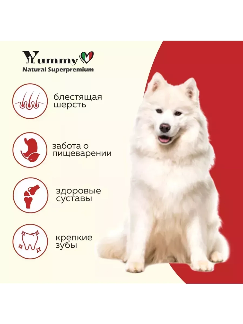 Корм для собак средних и крупных пород, ягненок 8 кг