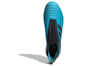 Кроссовки Adidas Predator 19+ Fg