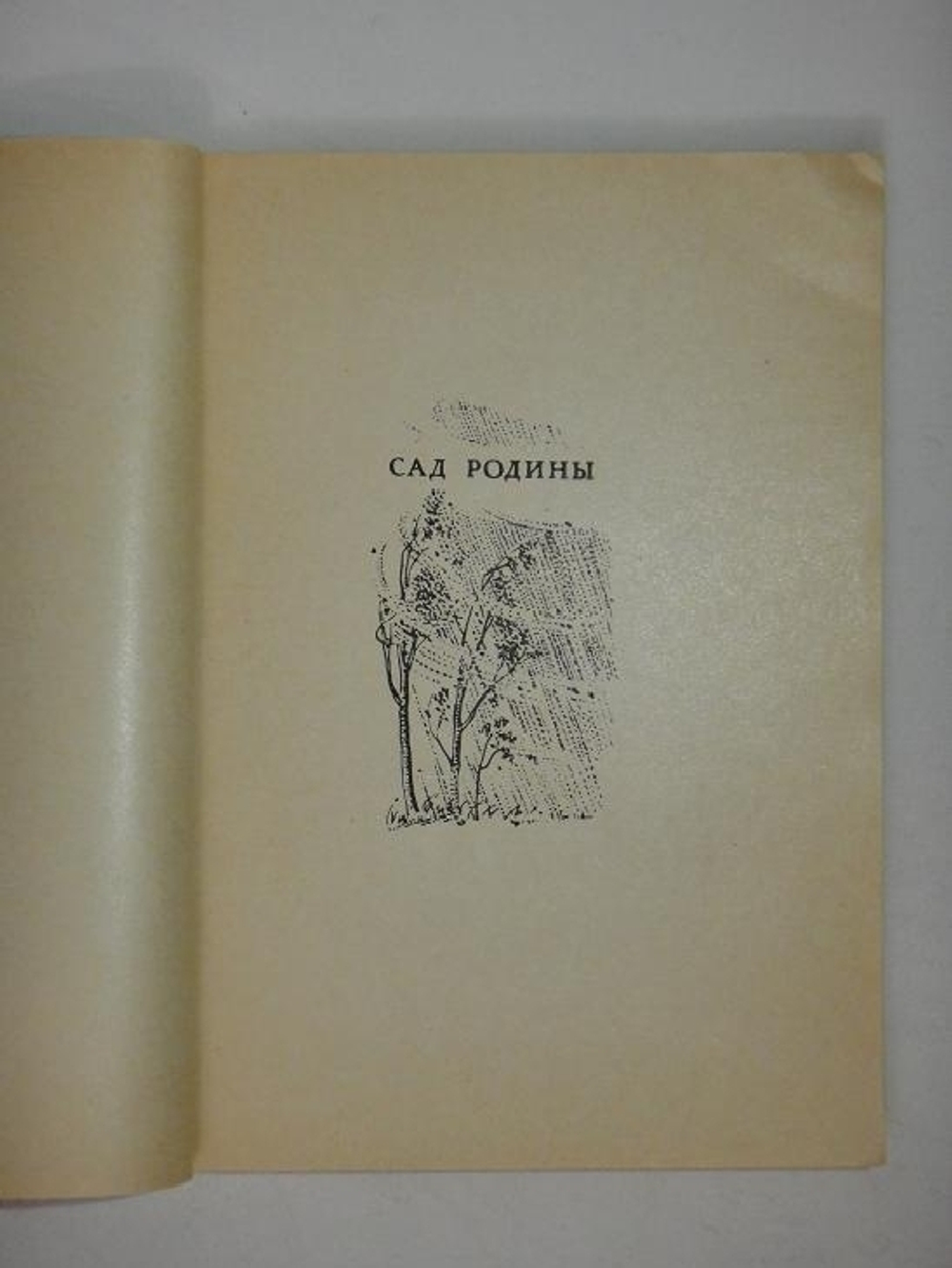 "Два сборника стихов: " Золотое веретено ", " Добрый день ". Всеволод Рождественский  [с автографом] - редкое издание