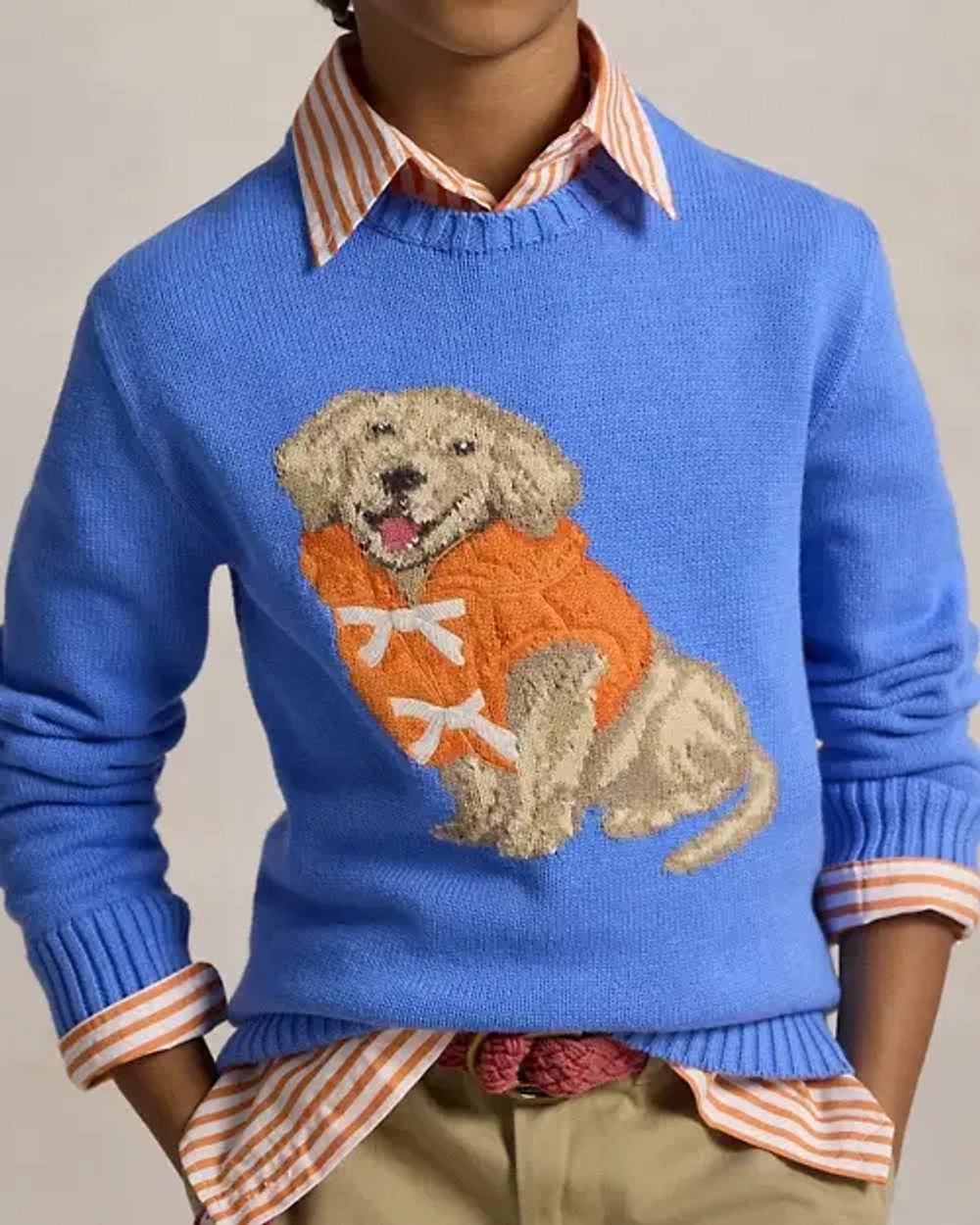 Хлопковый свитер с собакой и интарсией Ralph Lauren
