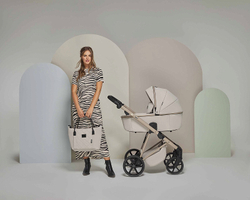 Детская коляска Adamex Delta Natura 2 в 1 DN-3-VANILLA (ВАНИЛЬ)