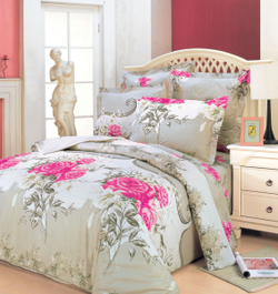 Постельное белье СайлиД B-045 сатин