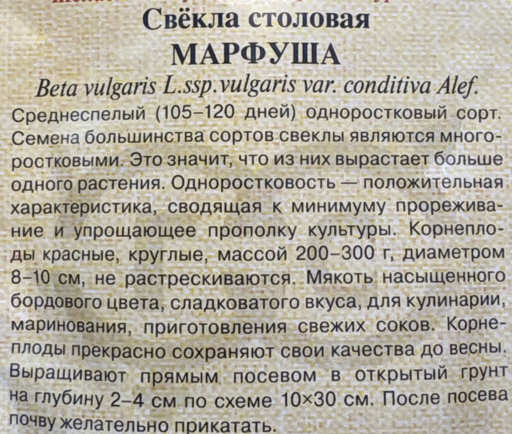 Свекла Марфуша 3 г СМС-54