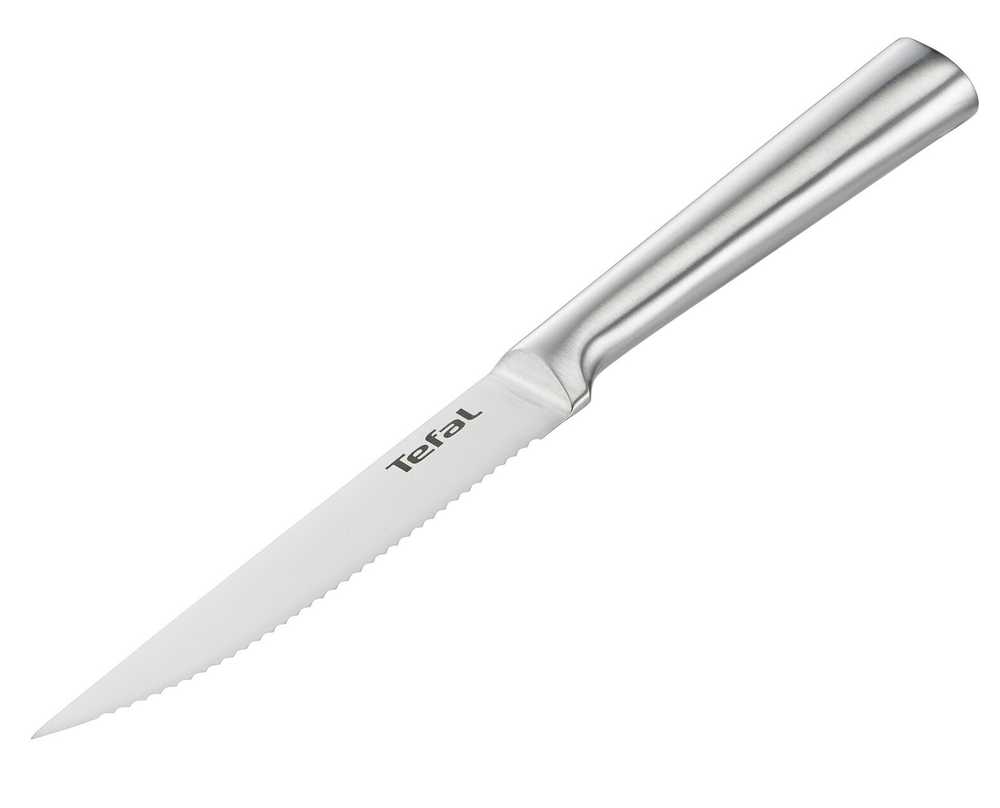 Набор ножей для стейка Tefal Expertise 4 предмета K121S414