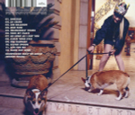 Lily Allen / Sheezus (CD)