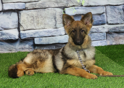 КАЛИНА Из Поместья Боговик - 10.06.2025