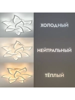 Люстра потолочная светодиодная DF8032/9