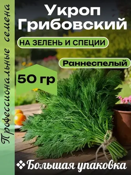 Семена Укроп Грибовский на зелень и специи 50гр