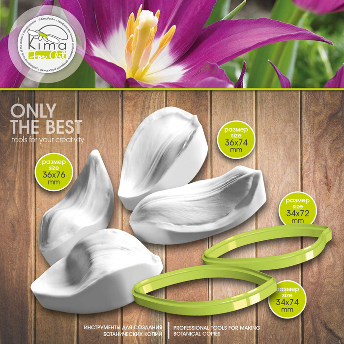 Тюльпан лилиецветный