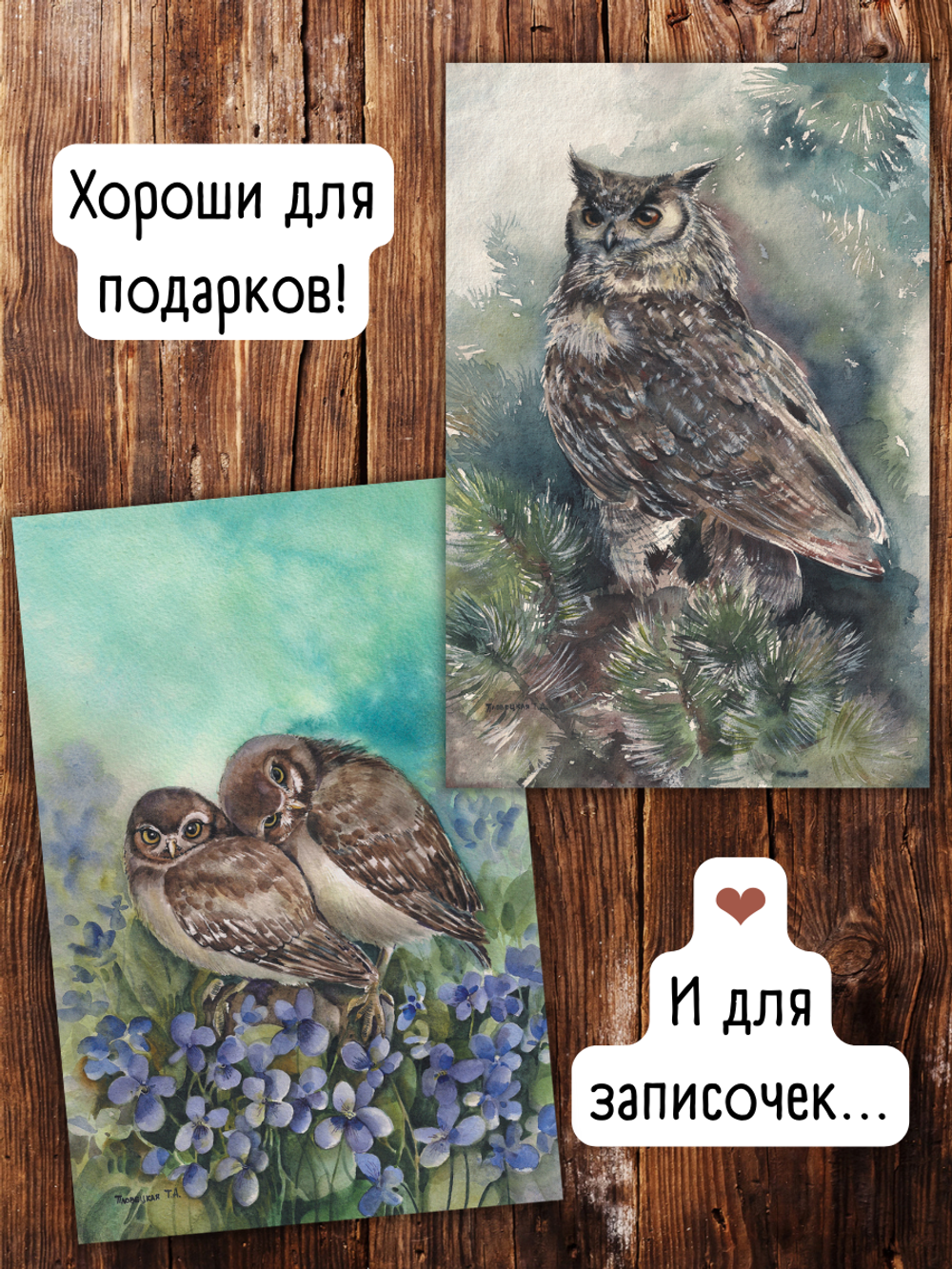 Совушки Татьяны Пловецкой. 10 открыток
