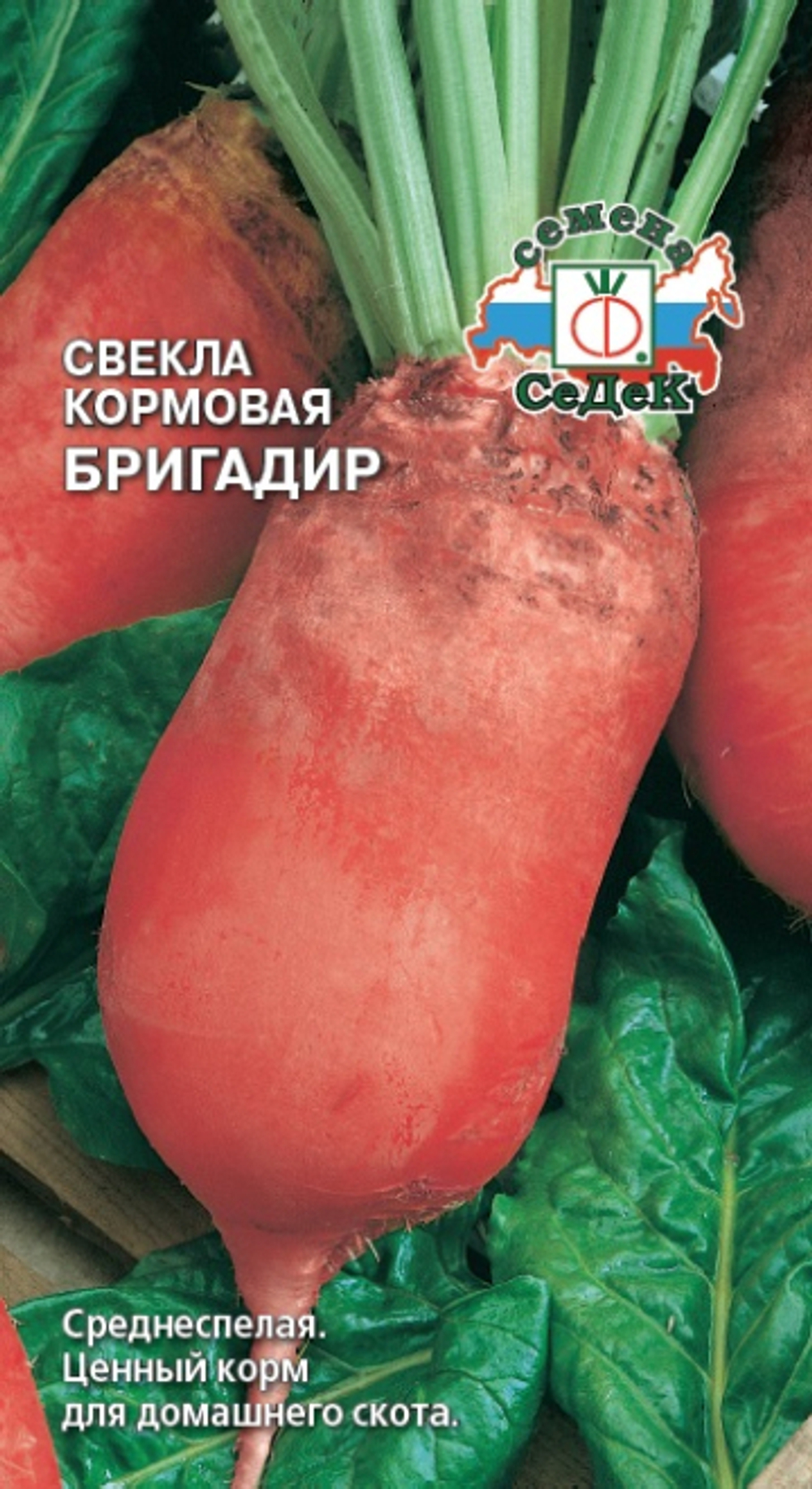 свекла Бригадир (кормовая)