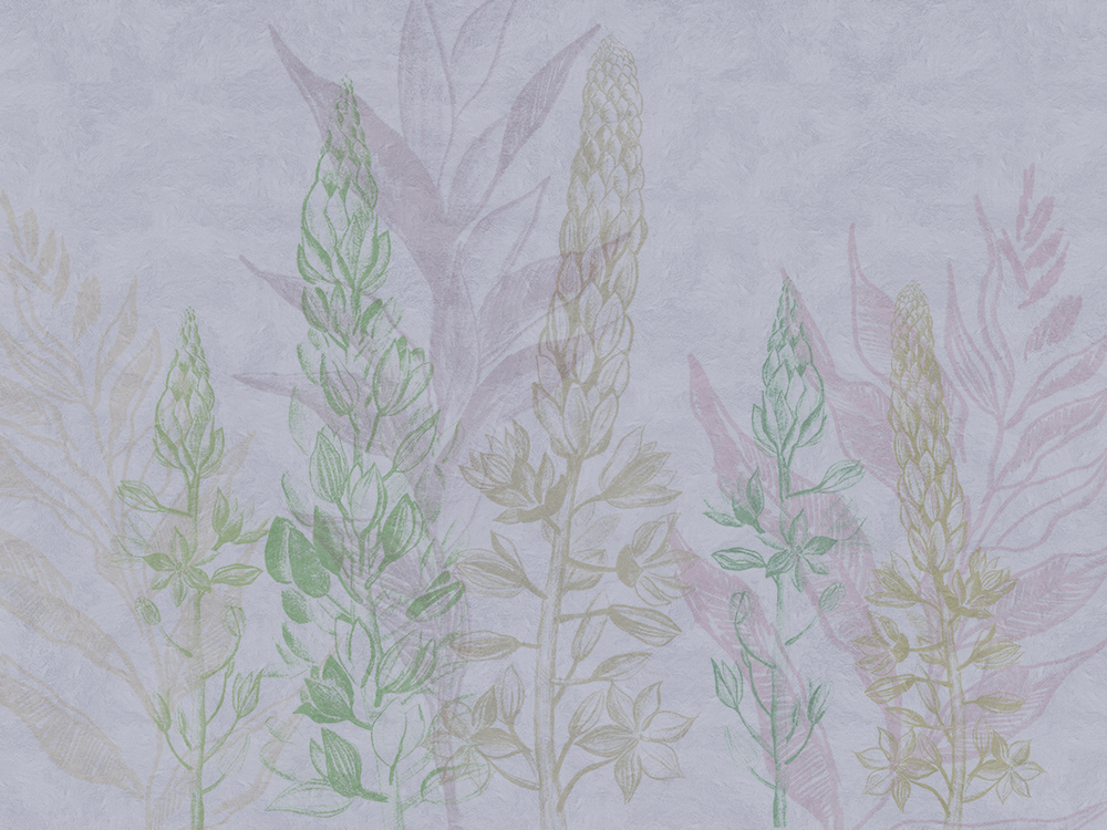 Коллекция SUMMERTIME