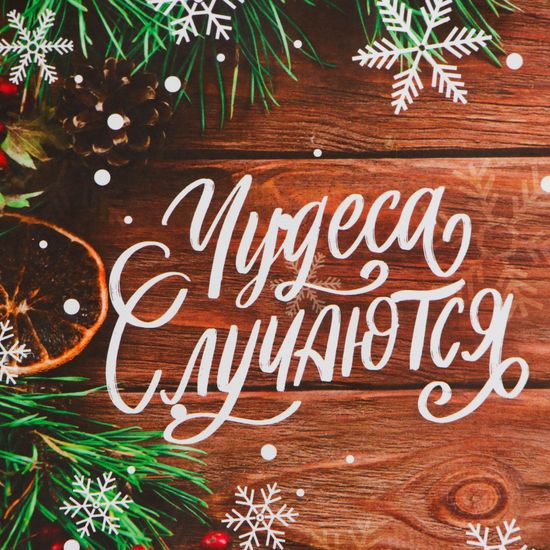 Пакет бумажный подарочный новогодний крафт "Чудеса" 15 х 21 х 8 см.