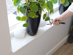 Набор Мультишвабра макси