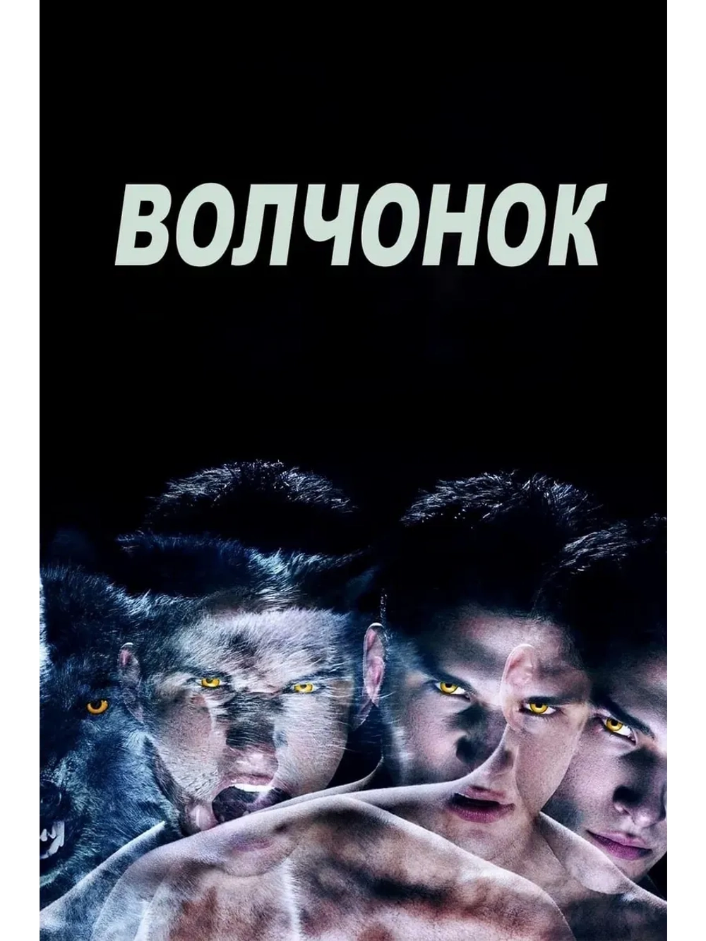 Волчонок, 3 сезон (2011-2017) (КИНО USB)