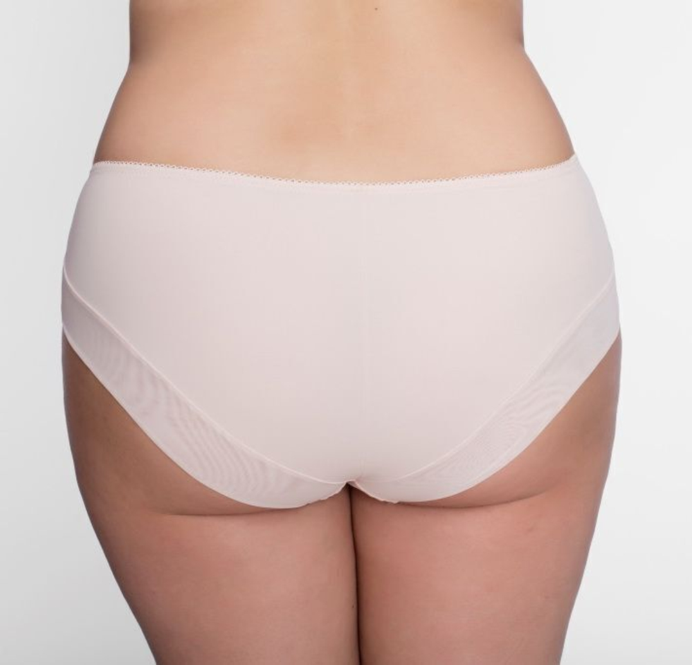 Трусики-слипы из микрофибры и полупрозрачной сетки (Размер: XXXL) (Цвет: черный)