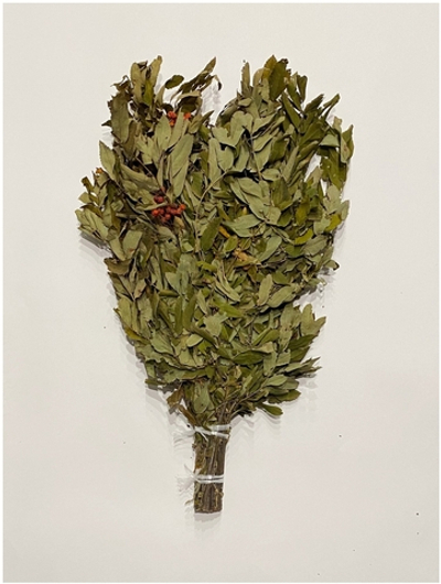 Рябиновый веник