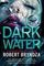 Dark Water : A gripping serial killer thriller