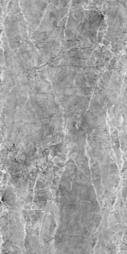 Шерл Сильвер