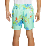 Шорты Nike, FQ0350-349