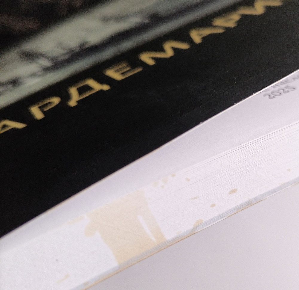 Гардемарины (у)