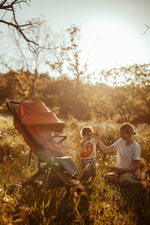 Детская прогулочная коляска Anex AIR-X Ax-01 terracotta