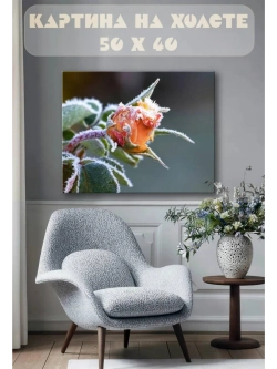 Картина на стену 40 X 50 Роза на морозе