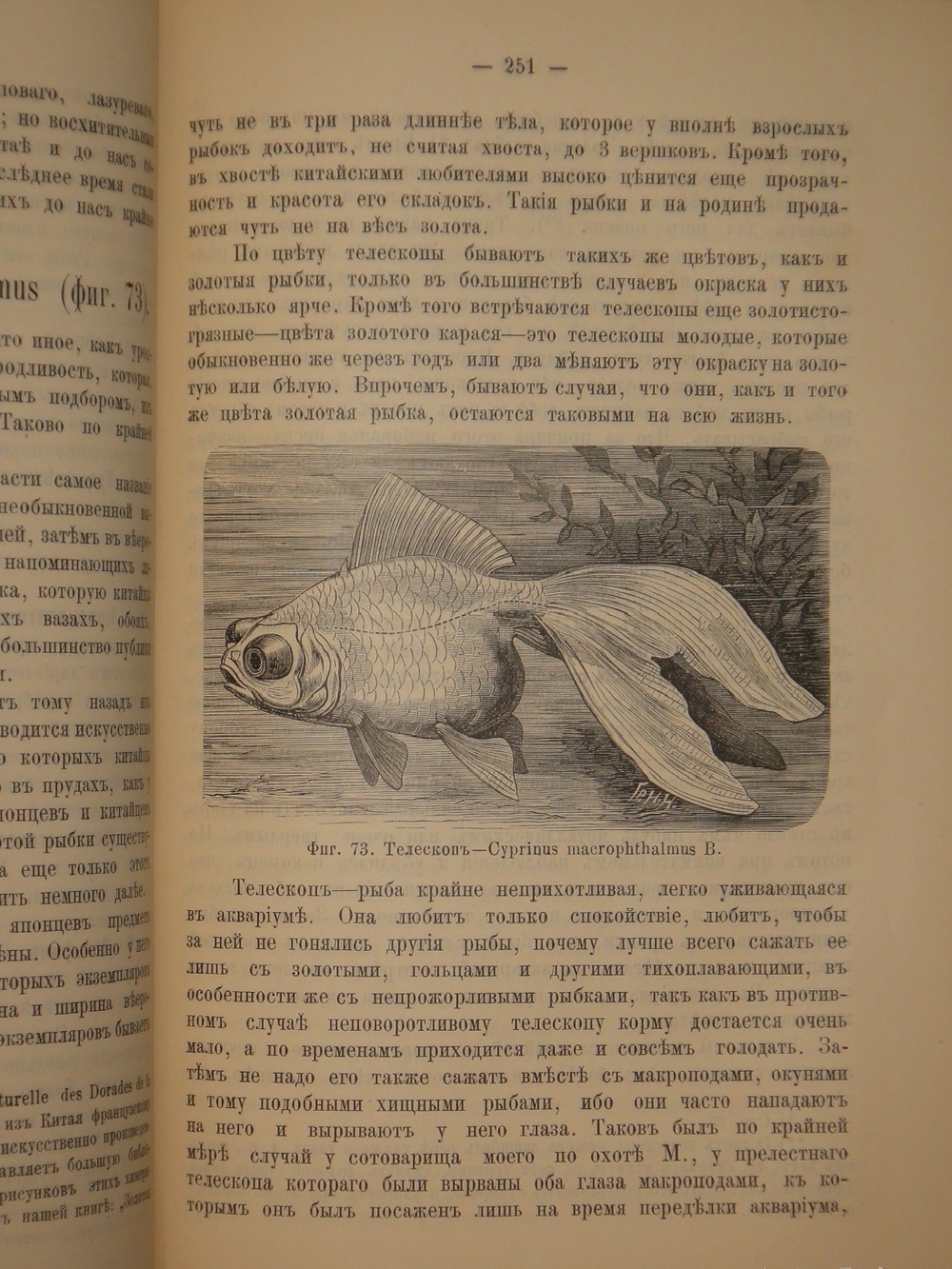 "Аквариум любителя. Подробное описание флоры и фауны аквариума, устройство аквариума, уход за ним и пр.". Н.Ф.Золотницкий. 1890г.